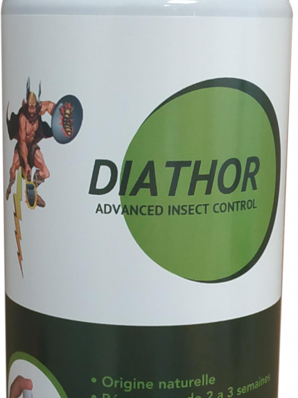 Diathome 2